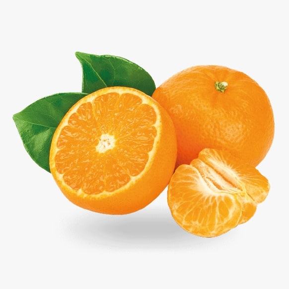 MANDARINS
